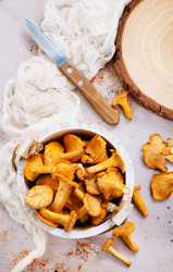 Similar image 13244350