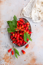 Similar image 13244187