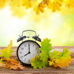 Similar image 13247798