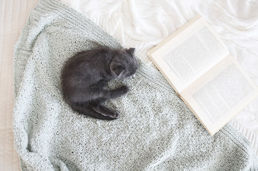 Similar image 13244078