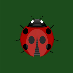 Similar image 13270111