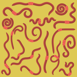 Similar image 13270113