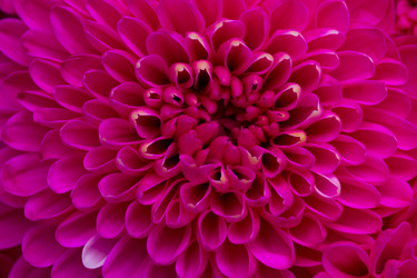 Similar image 13248194