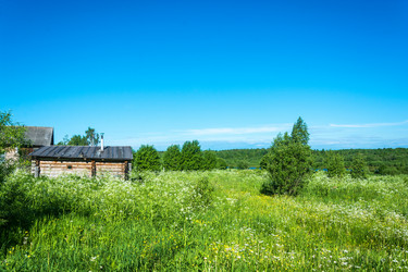 Similar image 13260661