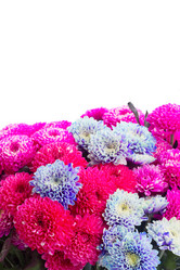 Similar image 13247872