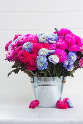 Similar image 13247898