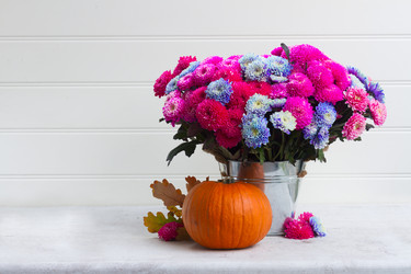 Similar image 13247956