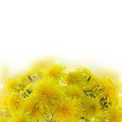 Similar image 13247961