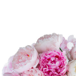 Similar image 13247962