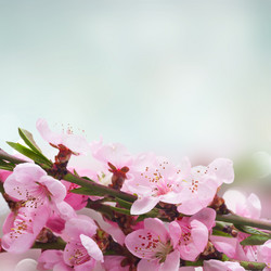 Similar image 13247963