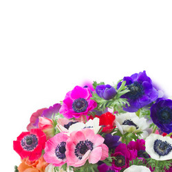 Similar image 13247983