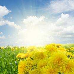 Similar image 13247987