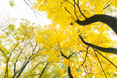 Similar image 13248031