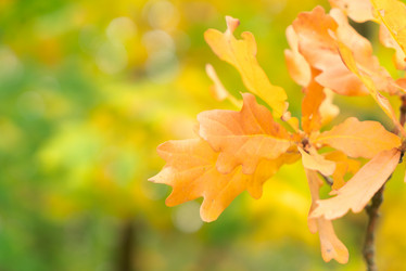 Similar image 13248095