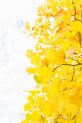 Similar image 13248096