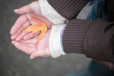 Similar image 13244140