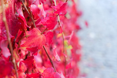 Similar image 13247780