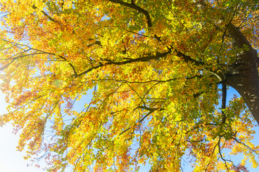 Similar image 13247802