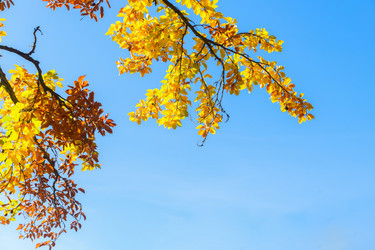 Similar image 13247844