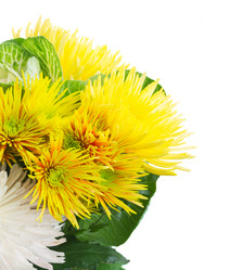 Similar image 13247847