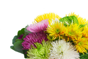 Similar image 13247911