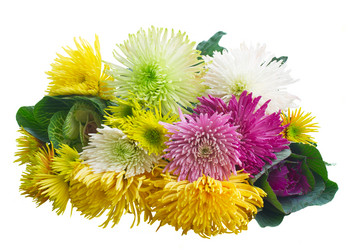 Similar image 13247913