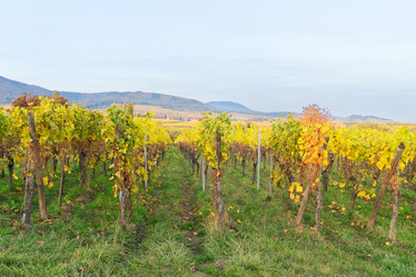 Similar image 13247922