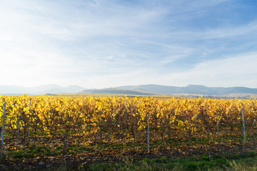 Similar image 13247967