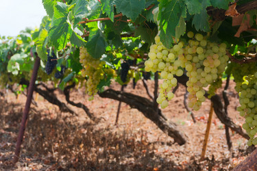 Similar image 13248045