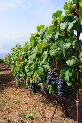 Similar image 13248047