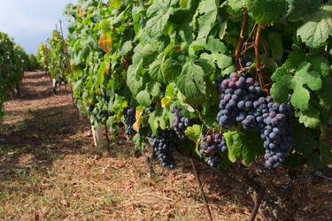 Similar image 13248048