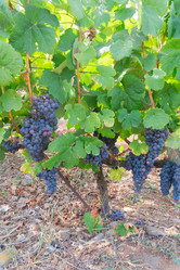 Similar image 13247988