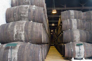 Similar image 13248011