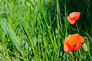 Similar image 13246368