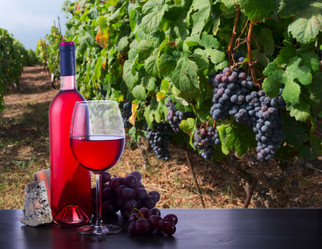 Similar image 13248033