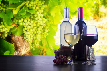 Similar image 13248034