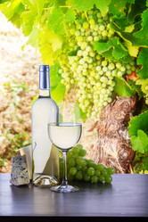 Similar image 13248062