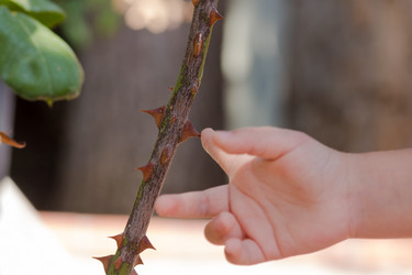 Similar image 13275556