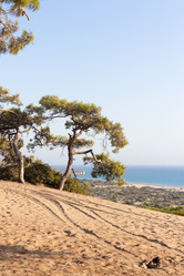 Similar image 13275584