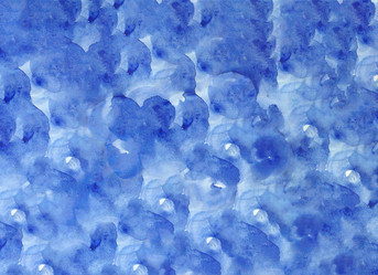 Similar image 13245295