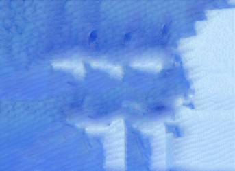 Similar image 13245307