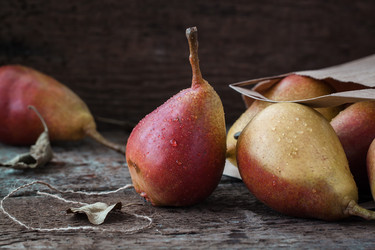 Similar image 13245435