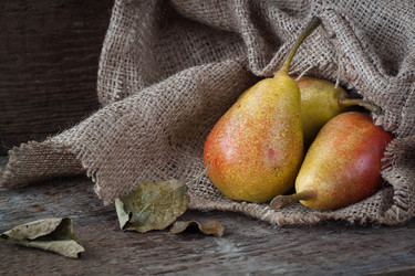 Similar image 13245441