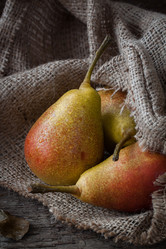 Similar image 13245446