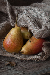 Similar image 13245448