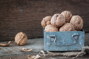 Similar image 13245394