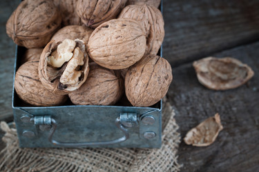 Similar image 13245402