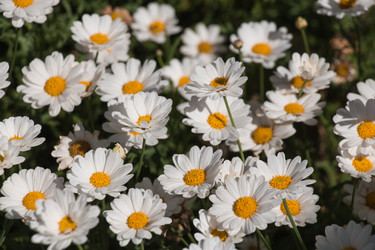 Similar image 13260854