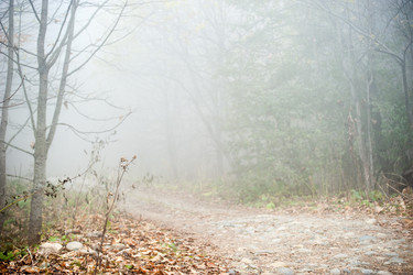 Similar image 13246455