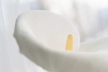 Similar image 13246463